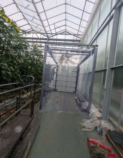 Kurtyny paskowe i stałe arkusze pcv na plantacji pomidorów